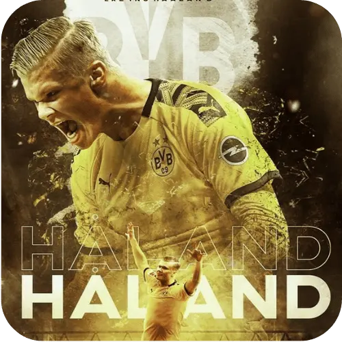 haland world cup 2026 fun88